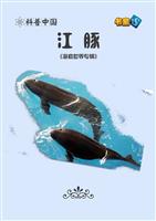江豚
