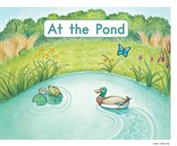 AtThePond