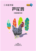 芦花鸡