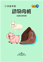动物内脏