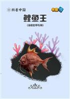 鲤鱼王