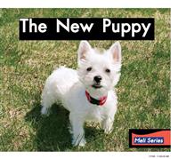 TheNewPuppy