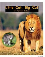 LittleCat,BigCat