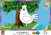 公鸡