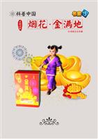 烟花-金满地