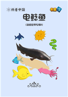 电鲶鱼