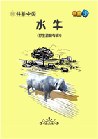 水牛