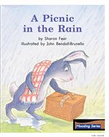 APicnicInTheRain