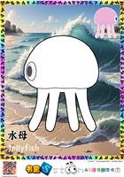 水母