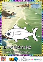太平洋蓝鳍金枪鱼
