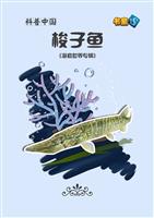 梭子鱼