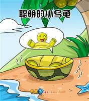 聪明的小乌龟