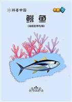 鲱鱼