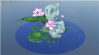 荷花