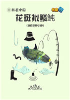 花斑拟鳞鲀