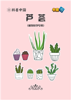 芦荟