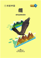 雕