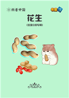 花生