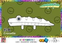 鳄鱼