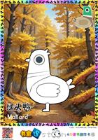 绿头鸭