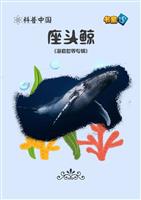 座头鲸