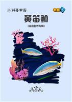 黄笛鲷