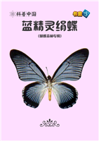 蓝精灵绢蝶