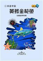 黄鳍金枪鱼