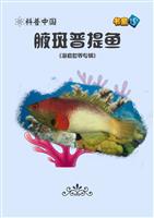 腋斑普提鱼