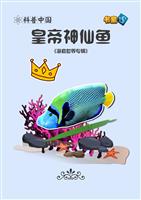 皇帝神仙鱼