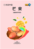 芒果