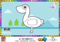 鹈鹕