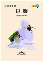 苍蝇