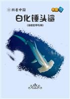 白化锤头鲨