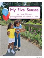 MyFiveSenses