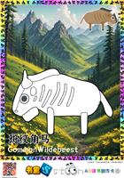 斑纹角马