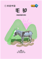 毛驴