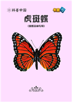 虎斑蝶