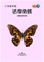 达摩凤蝶