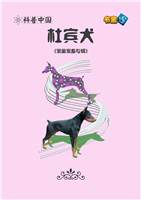 杜宾犬