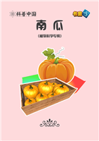 南瓜