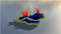 海蛞蝓