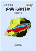 巴西宝莲灯鱼