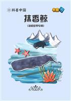 抹香鲸