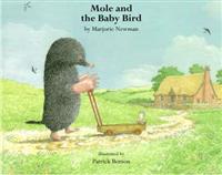 Mole and the Baby Bird