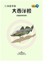 大西洋鳕