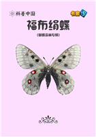 福布绢蝶