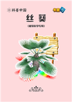 丝葵