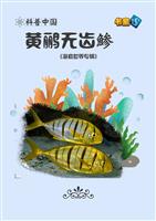 黄鹂无齿鯵
