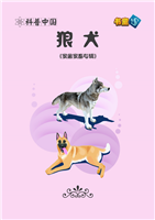 狼犬